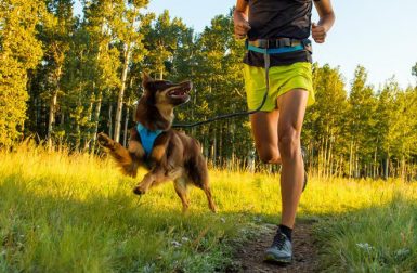 Trail Runner Collection from Ruffwear