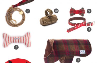 11 Dapper Gifts for Dogs from Scotch & Hound