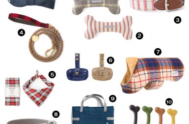 10 Fashionable Gifts for Modern Dogs from Scotch & Hound
