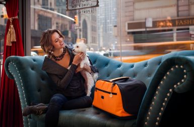Sleepypod Air: Airline-Approved In-Cabin Pet Carrier