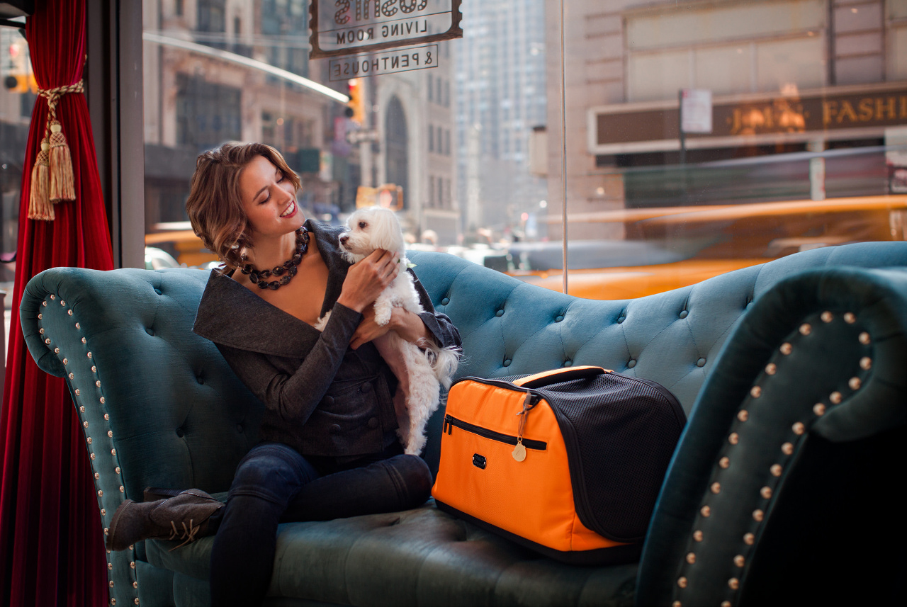 Sleepypod Air: Airline-Approved In-Cabin Pet Carrier