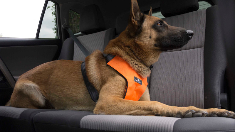 Sleepypod Clickit Sport: 2-in-1 Dog Safety Seatbelt and Walking Harness