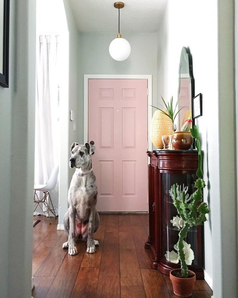 Spotted: A Great Dane and A Yorkie Share a Colorful New Mexico Home