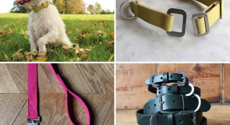 Modern Dog Collars and Leads from Hindquarters