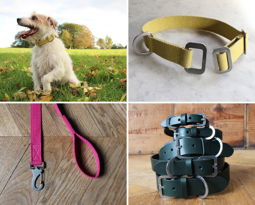 dog collars and leads