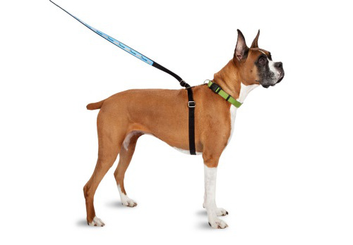 ThunderLeash 2-in-1 Dog Leash and No-Pull Harness