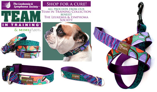 Shop for a Cure at Mimi Green