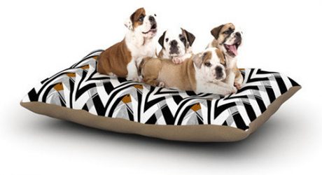 Modern Dog Beds from KESS InHouse