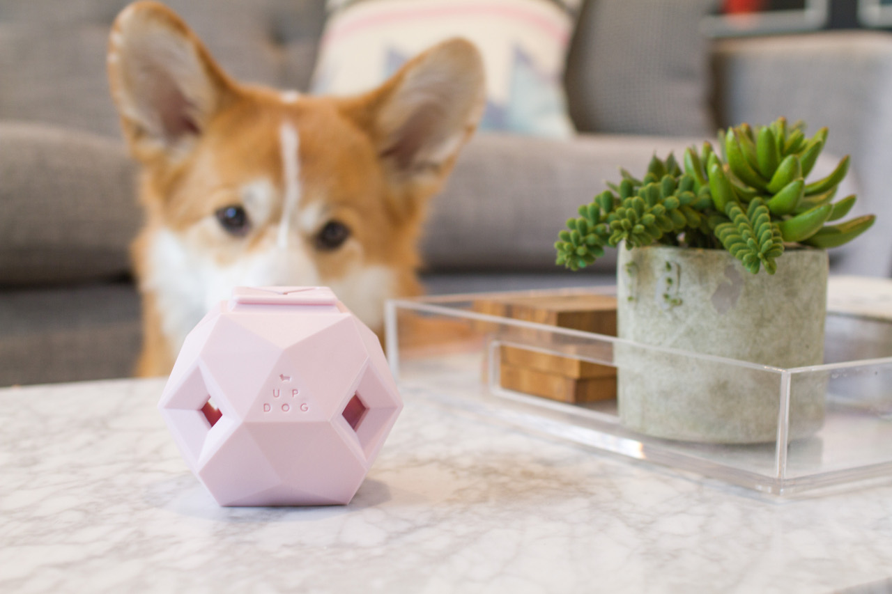 Limited-Edition Rose Quartz Odin Toy from Up Dog Toys