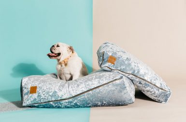 Crushed Velvet Dog Beds from Nice Digs
