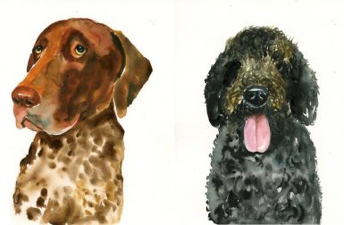 Watercolor Illustrations and Pet Portraits by DIMDI