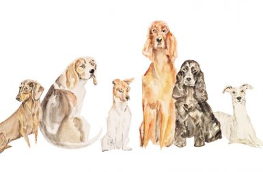 Watercolor Illustrations and Pet Portraits by Morgan Reid