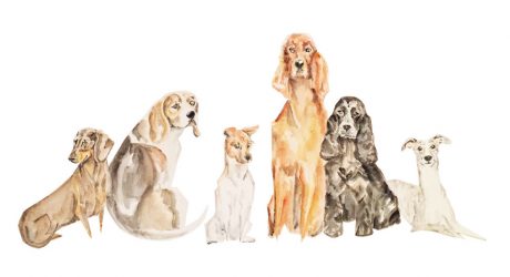 Watercolor Illustrations and Pet Portraits by Morgan Reid