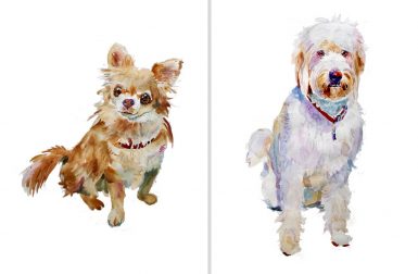 Custom Watercolor Pet Portraits and Dog Illustrations