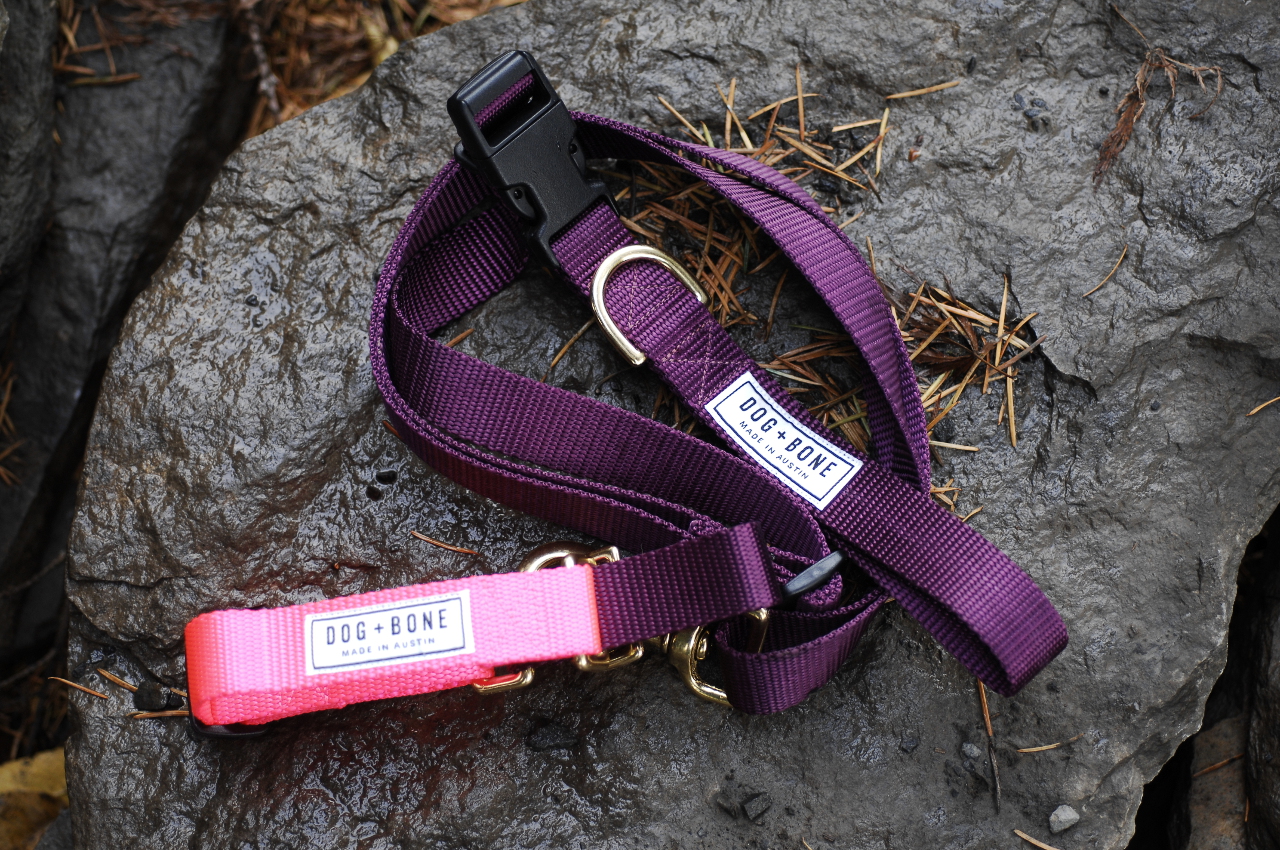 Adjustable Leashes and Martingale Collars from Dog + Bone