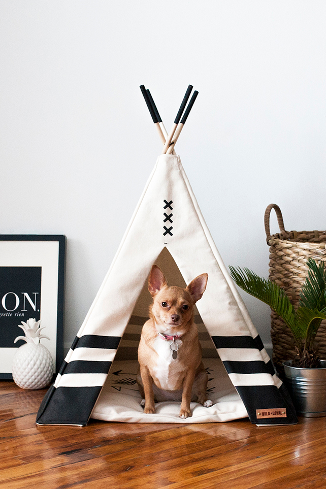Pet Teepees by Wild & Loyal