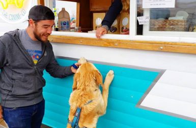 Winnie Lou: The Canine Co. Dog Food Truck and Shop