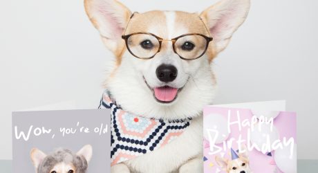 With Love From Winny the Corgi Greeting Card Collection