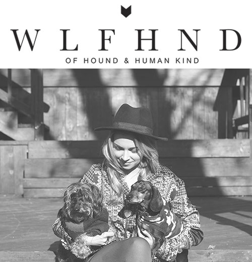 W L F H N D: A Lifestyle Blog for Hounds and Humans