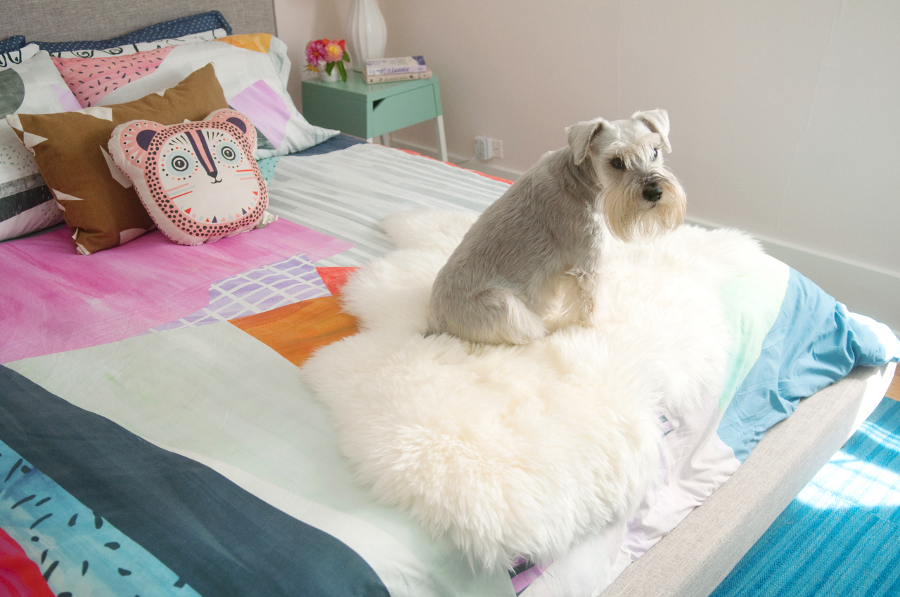 Spotted: Wrigley’s Bedroom Makeover