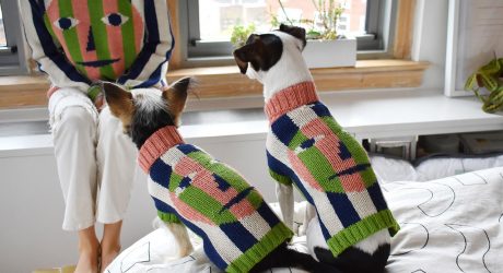 New Dusen Dusen Dog Sweaters Mean You Can Twin With Your Pup