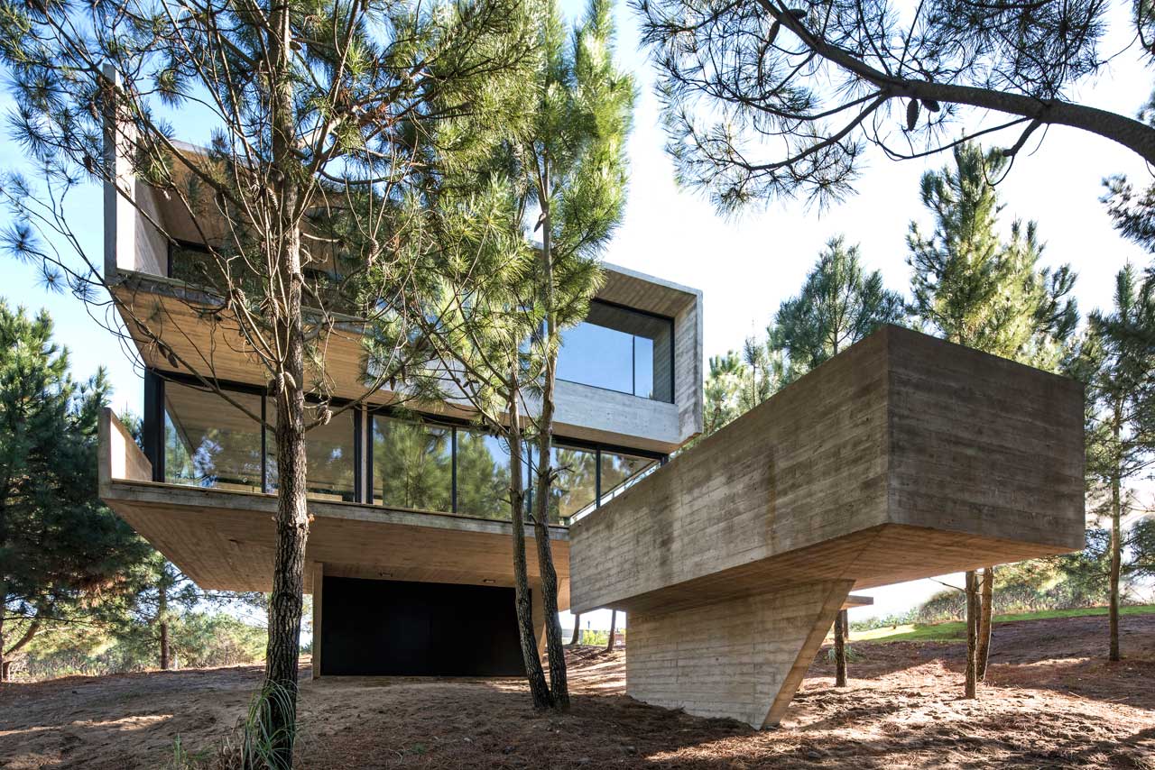 A Contemporary House in the Trees in Buenos Aires