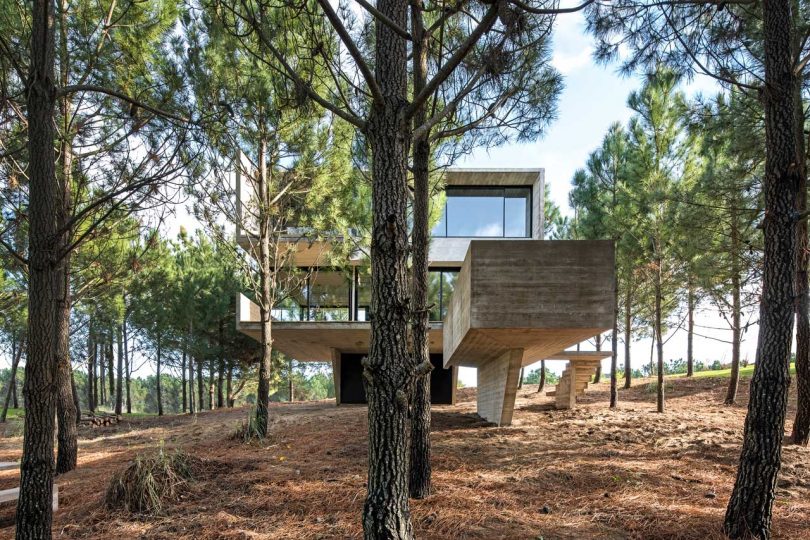 A Contemporary House in the Trees in Buenos Aires