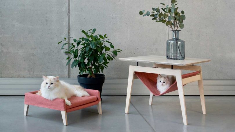 Kikko + Lulu: Comfy Cat furniture From Labbvenn