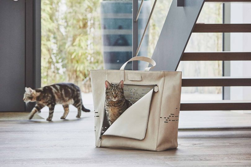 Tote Your Tabby Around in the Tosca Cat Travel Carrier