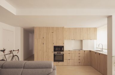 MV Apartment by Carlos Segarra