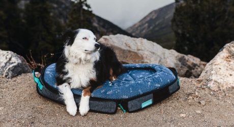 Dog Travel Beds From Spruce Pup