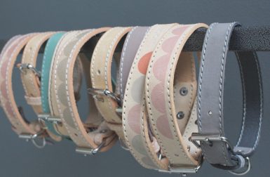 Modern Dog Collars and Leads From Benji + Moon