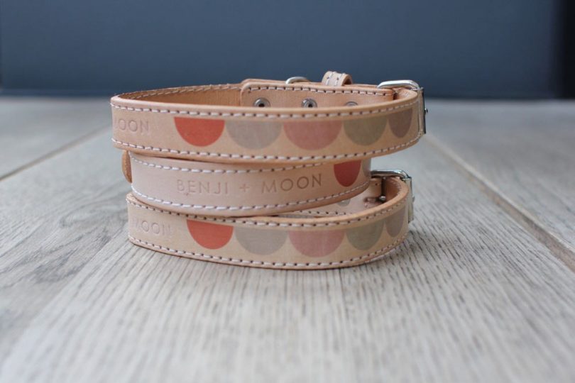 Modern Dog Collars and Leads From Benji 
