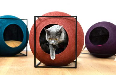 Meyou Paris Designs Cozy Cat Furniture
