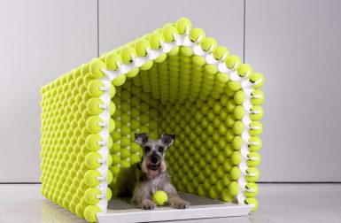 A Modular, 3D Printed Dog House Made of Over 1000+ Tennis Balls