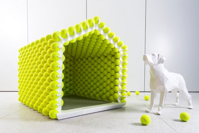 play dog house
