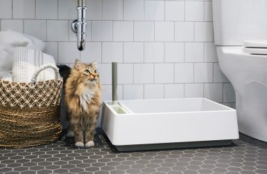 Tuft + Paw Designs a Modern Litter Box You Won't Have to Hide