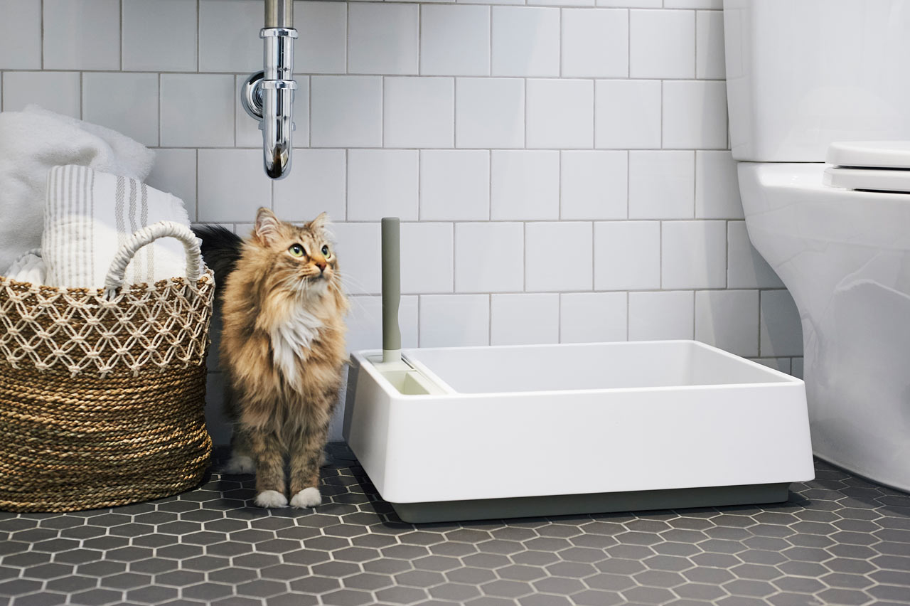 Tuft + Paw Designs a Modern Litter Box You Won’t Have to Hide