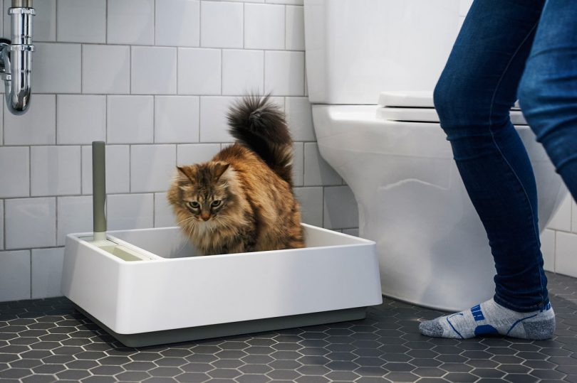 Tuft + Paw Designs a Modern Litter Box You Won't Have to Hide