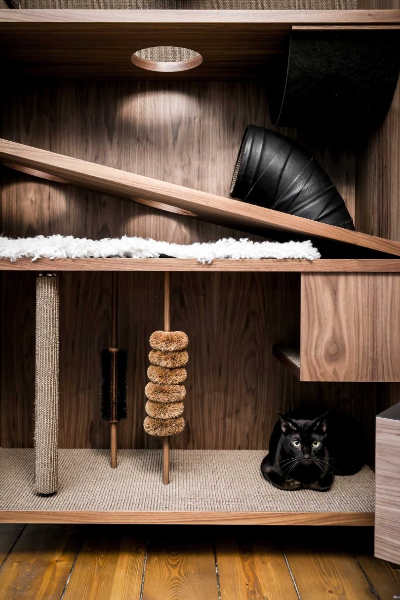 Modern Cat House Gives Cats 10 Fun Things |Design Milk