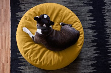 The Stella Dog Pouf Is Designed for Pups Who Love to Lounge in Style