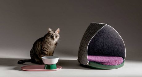 LAYER x Cat Person: Adaptable, Modern Gear for Cool Cats