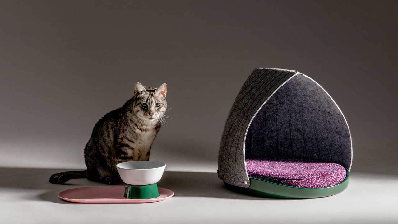 LAYER x Cat Person: Adaptable, Modern Gear for Cool Cats