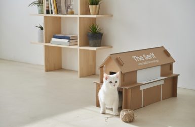 Samsung Eco-Friendly TV Packaging Turns Into Your Pet's New Playground