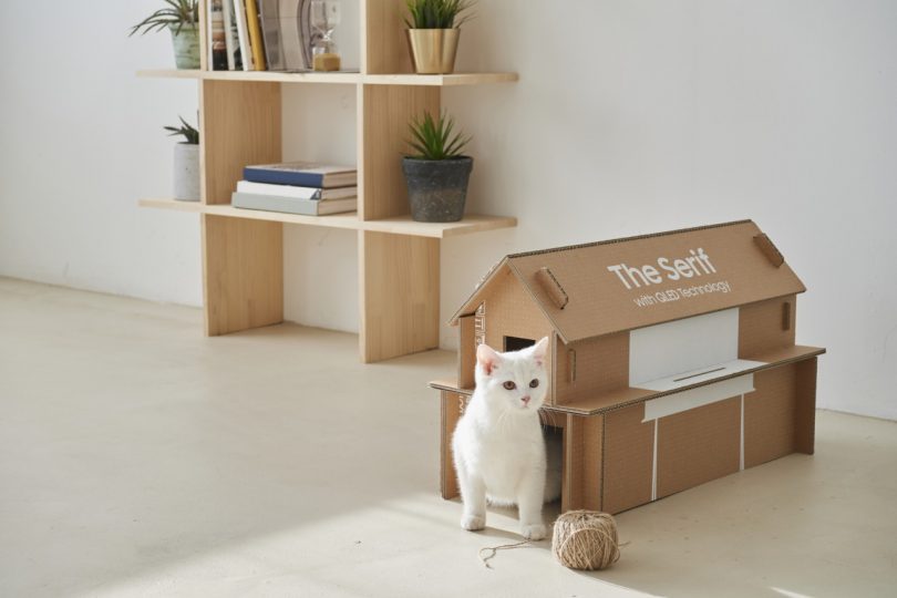 Samsung Eco-Friendly TV Packaging Turns Into Your Pet’s New Playground