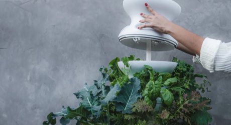 Lettuce Grow Has a Plug and Play Farmstand That Automates Gardening