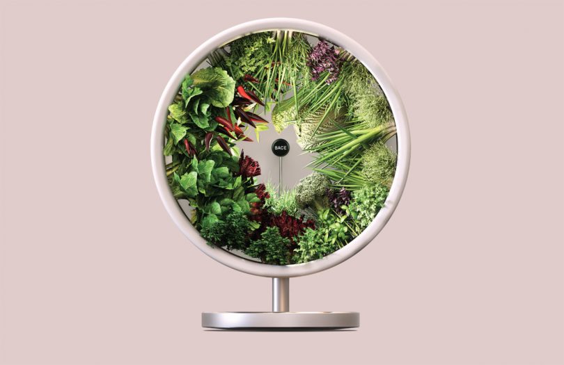 The Rotofarm Is a NASA-Inspired, Sculptural Hydroponic System