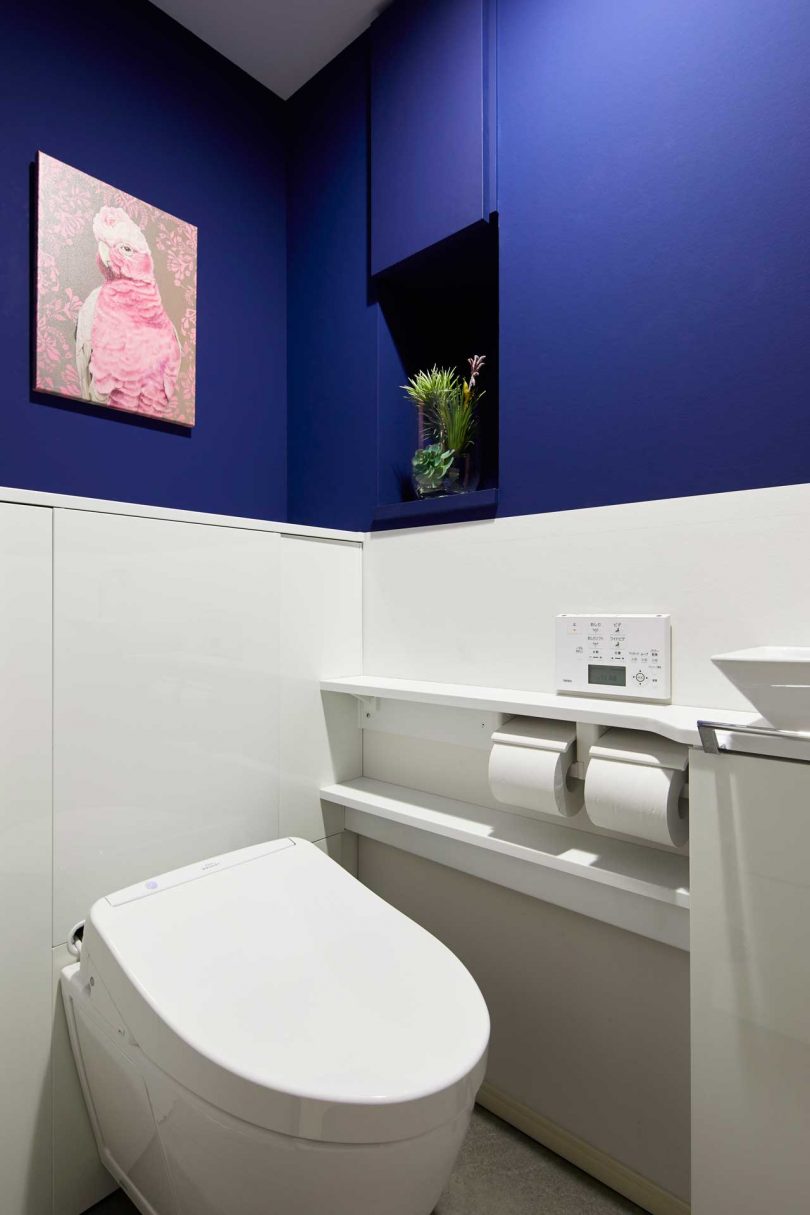 interior shot of modern apartment bathroom with dark blue upper walls and white below