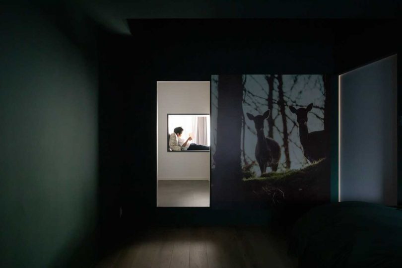 interior shot of modern apartment in dark green room with image of two deer on right and person in the distance