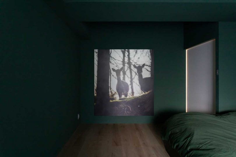 interior shot of modern apartment in dark green room with artwork showing two deer
